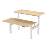 Flexispot E7H Dual Motor Double Sided Electric Standing Desk